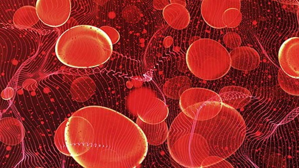 makhana and jaggery for anemia