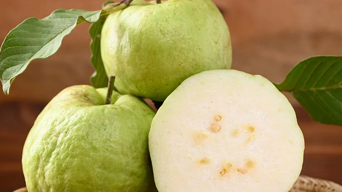 gauva for gut health