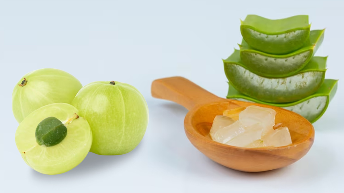 Aloevera-Me-Kya-Milakar-Balo-Par-Lagaye