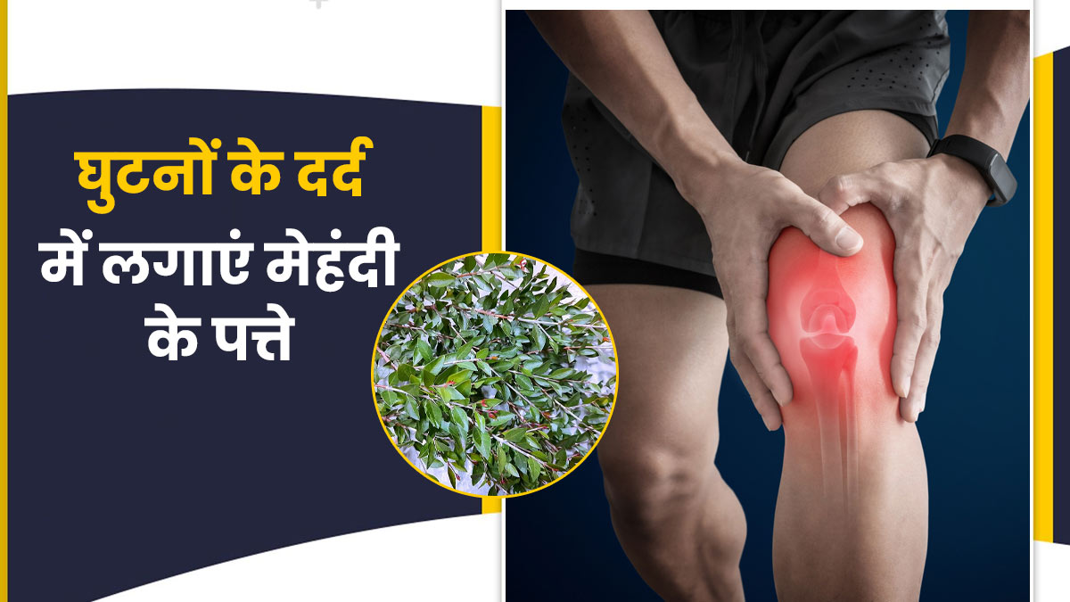 घुटनों के दर्द में रामबाण हैं मेहंदी की पत्तियां, इस तरह करें इस्तेमाल