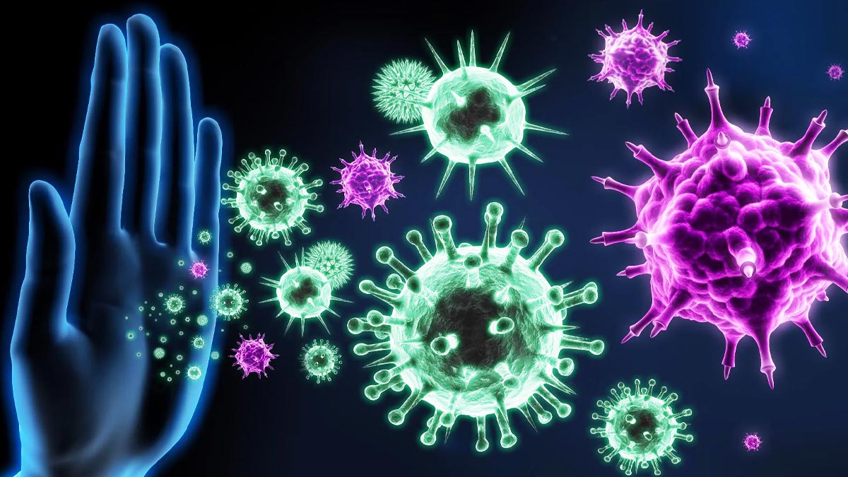 amla benefits for immunity