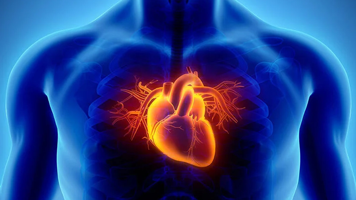 coronary artery disease heart attack