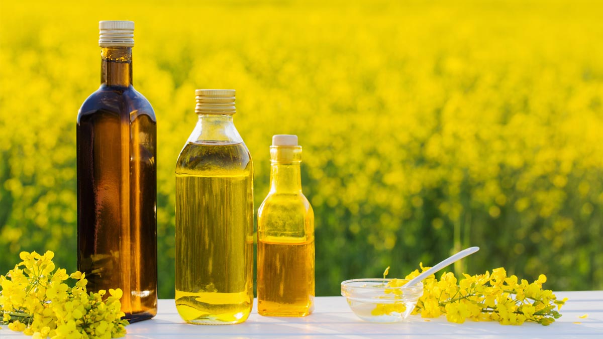 canola oil