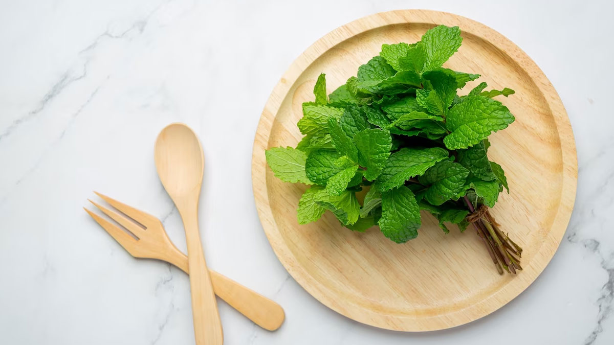Are Mint Leaves Good for Pregnant Women