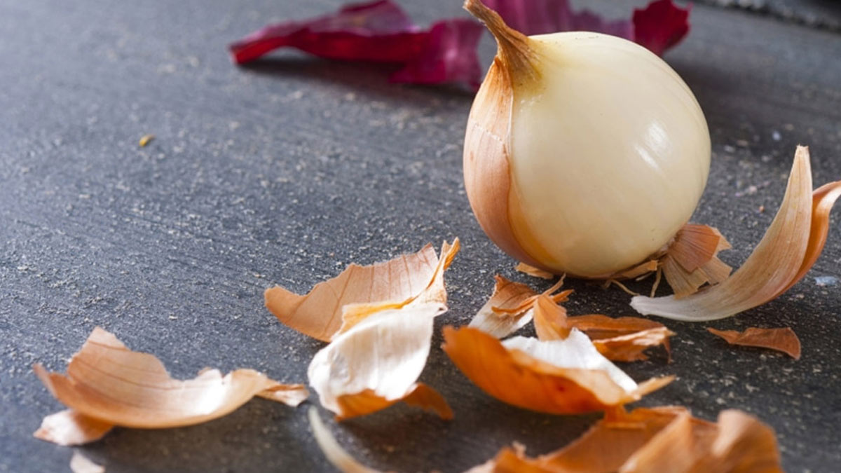 onion peel for hair