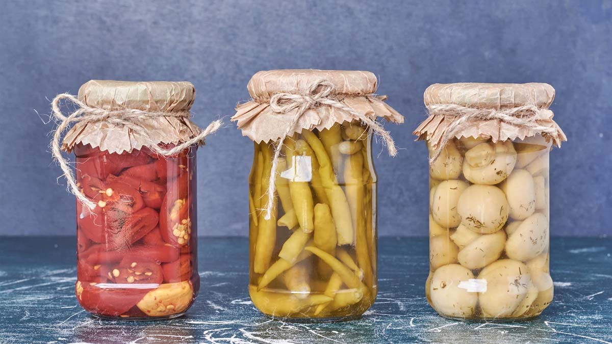 प्रेगनेंसी में फर्मेंटेड फूड्स का सेवन करें या नहीं? जानें एक्सपर्ट से