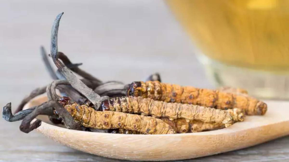 Keeda Jadi Health Benefits