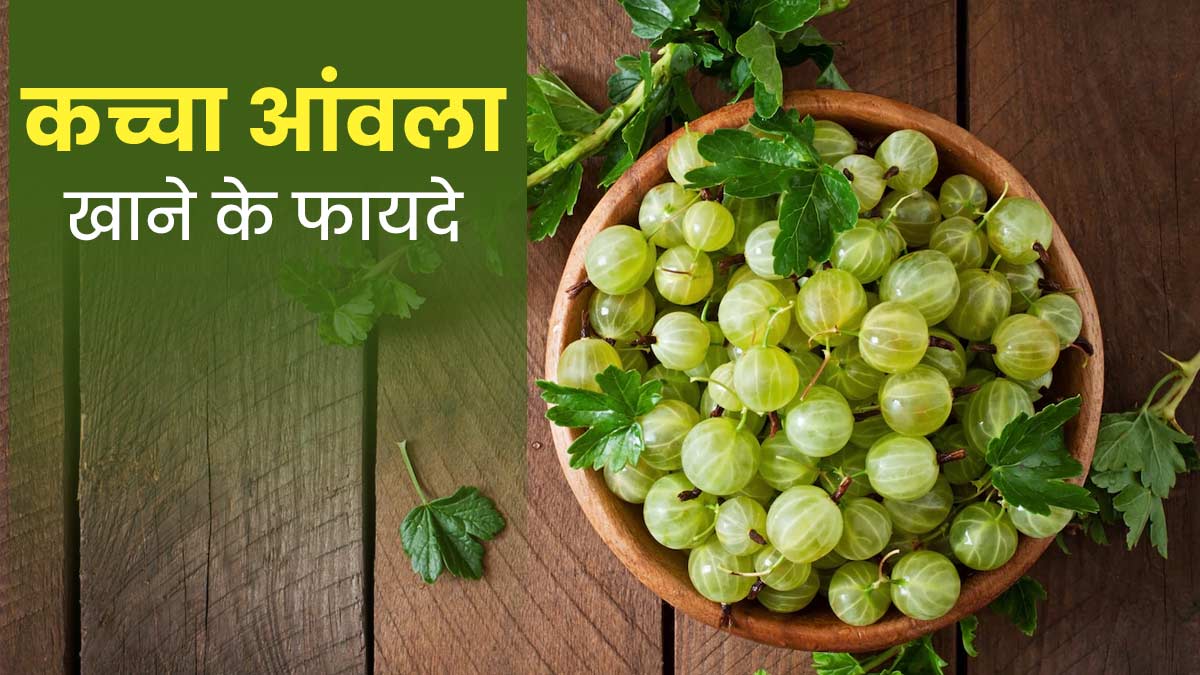 सर्दियों में खाएं कच्चा आंवला, सेहत को मिलेंगे ये 5 फायदे