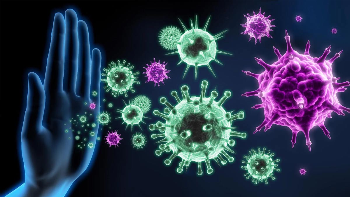 immunity boosting foods