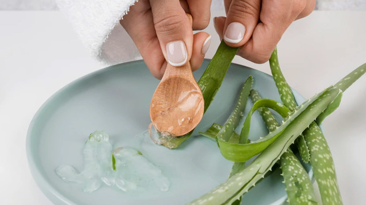 Face-Par-Aloevera-Lagane-Ke-Nuksan