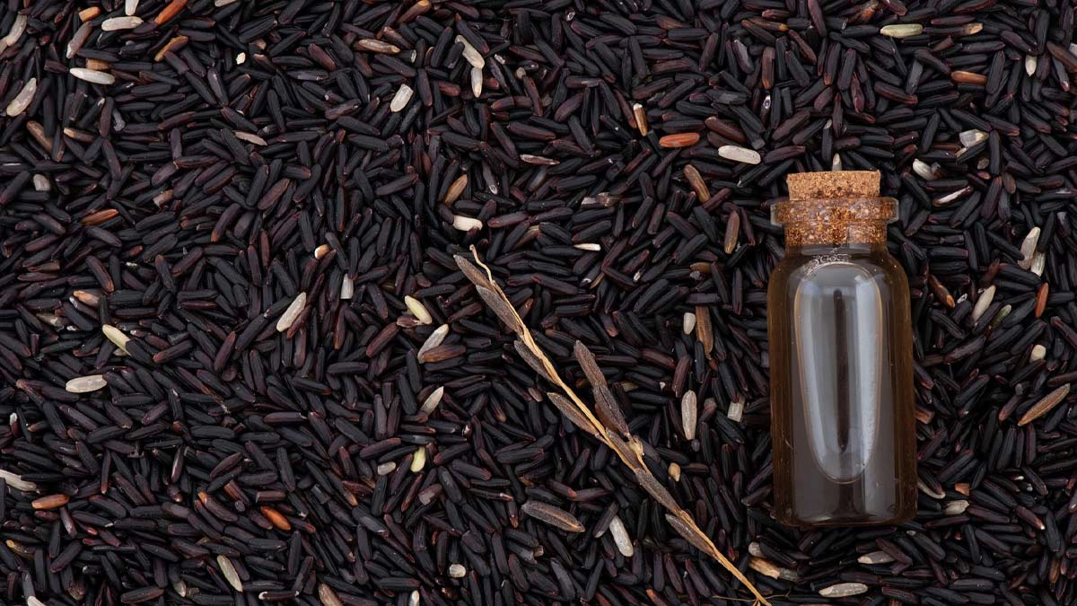 Black Rice Oil For Hair Growth In Hindi
