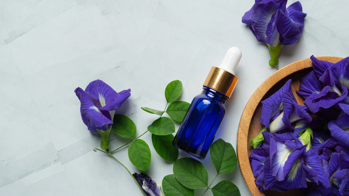 Concentration-Badhane-Ke-Upay