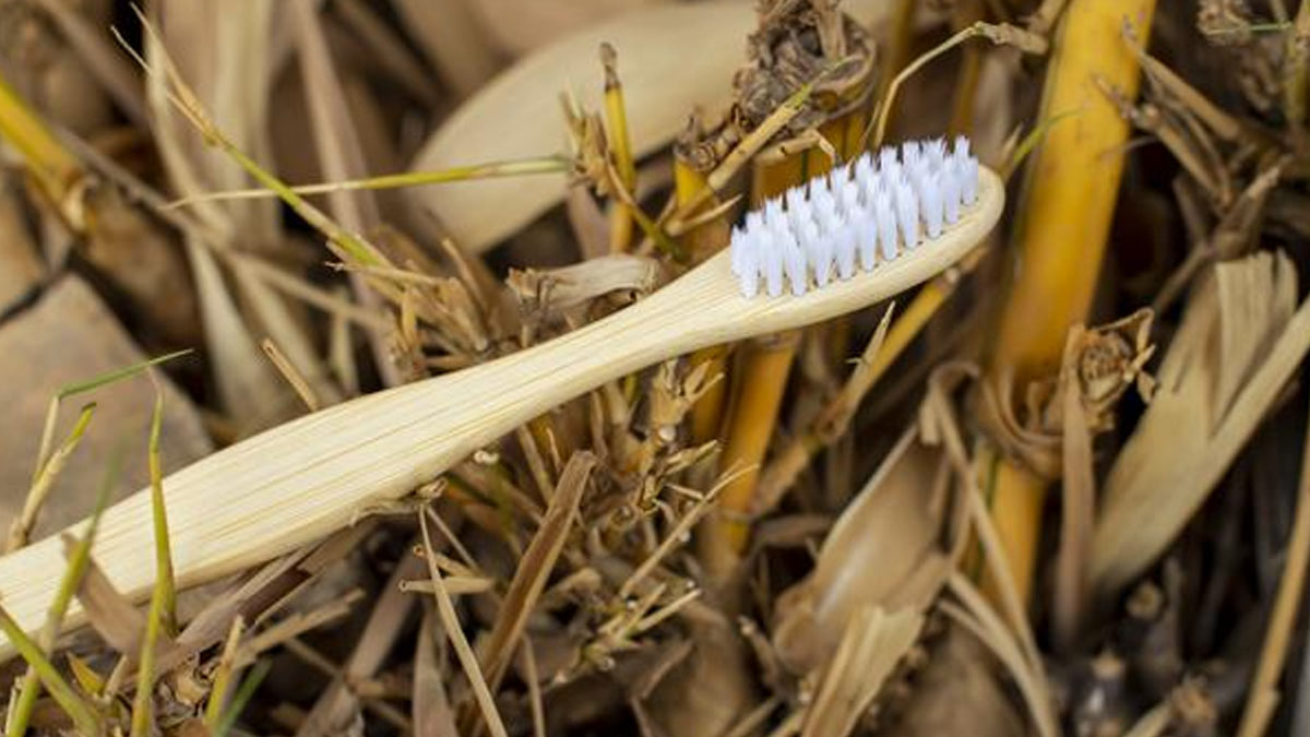 bamboo toothbrush benefits