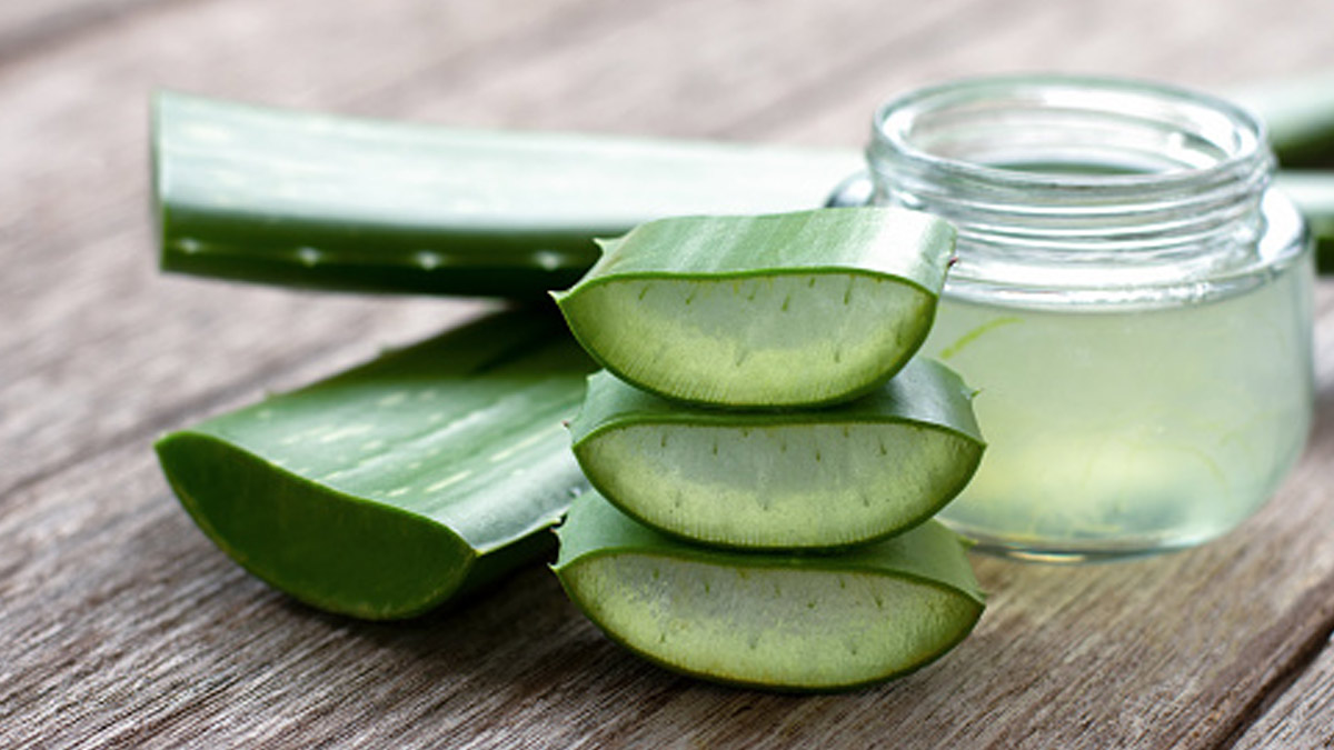 aloevera for fungal infection