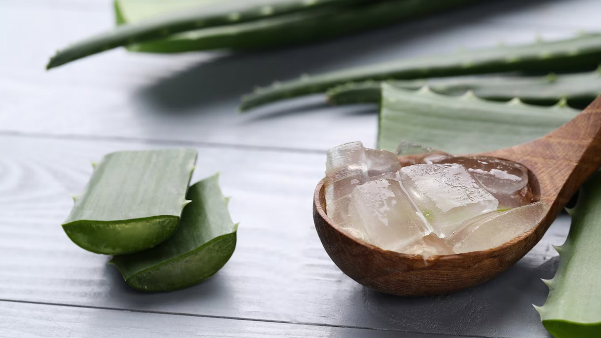 Aloe-Vera-For-Hair-Problems-I