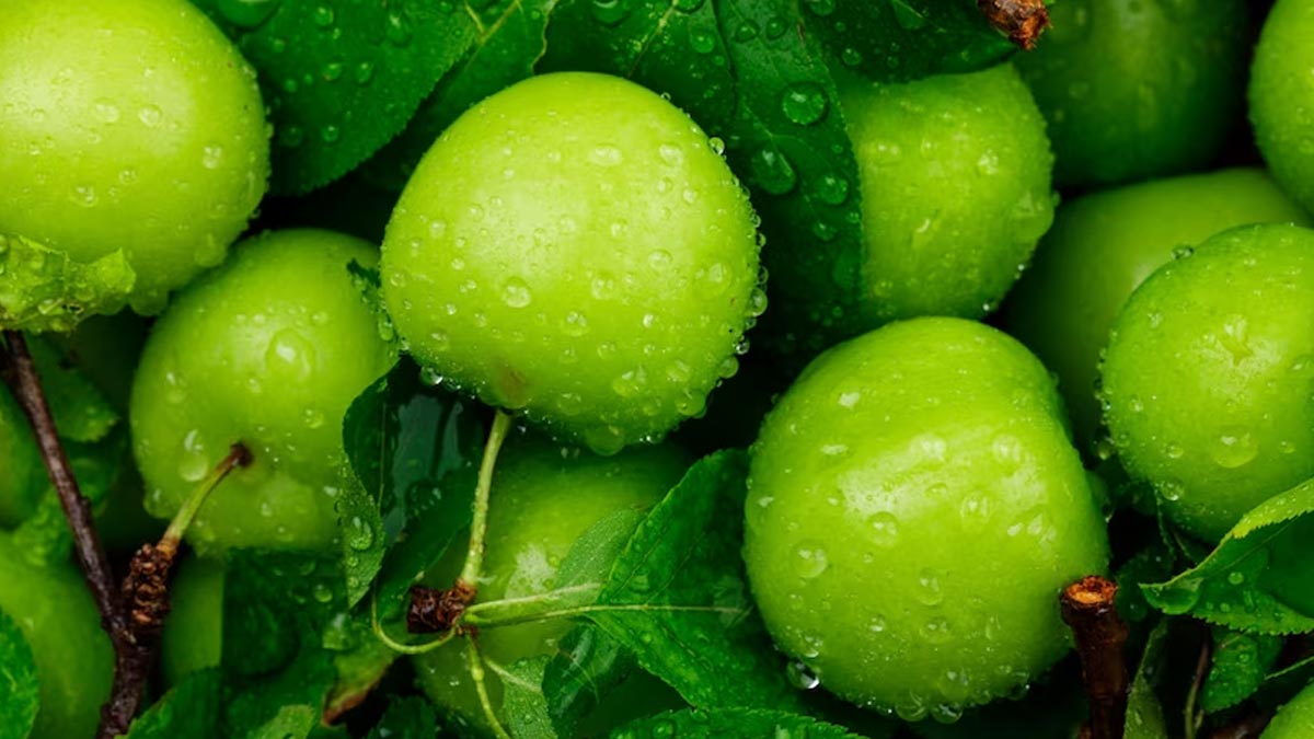 Monsoon Delights: 5 Low Glycemic Index Fruits Perfect For Diabetics