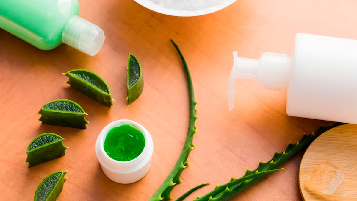  Revive Your Locks: Try This Aloe Vera and Amla Hair Mask to Treat Dry and Damaged Hair