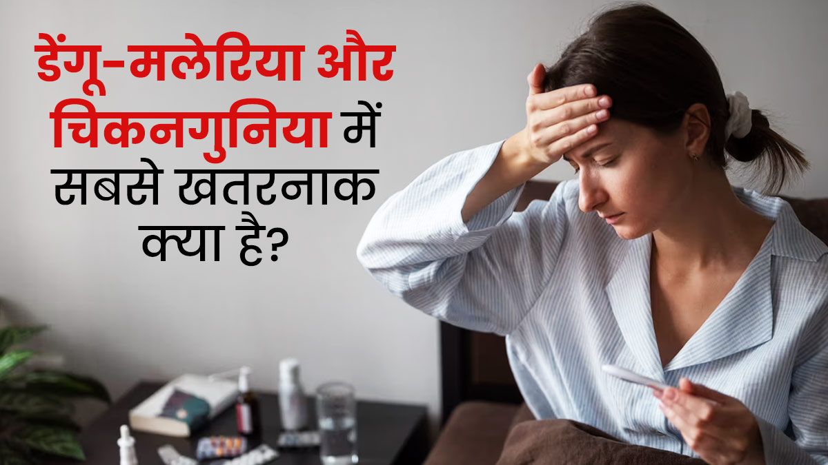 डेंगू-मलेरिया और चिकनगुनिया में सबसे खतरनाक क्या होता है? जानें कैसे करें बचाव