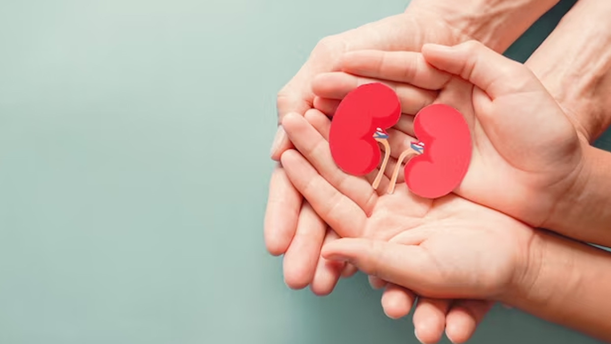 How To Reverse Kidney Damage From Diabetes In Hindi