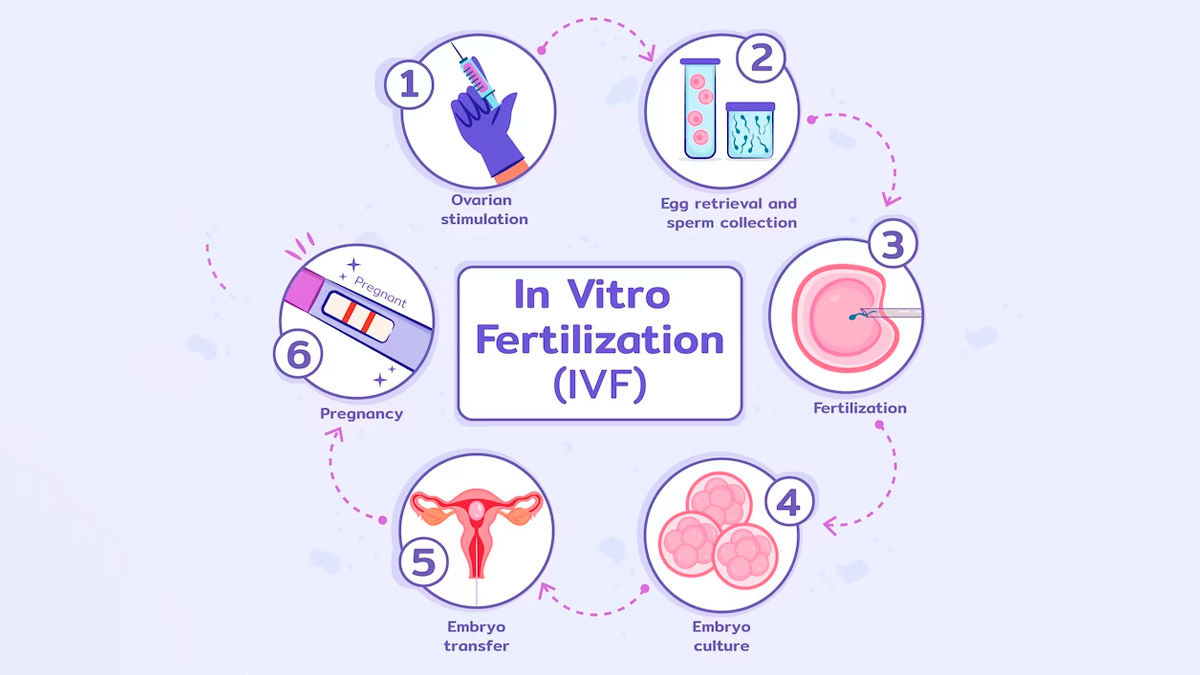 IVF-Self-Care