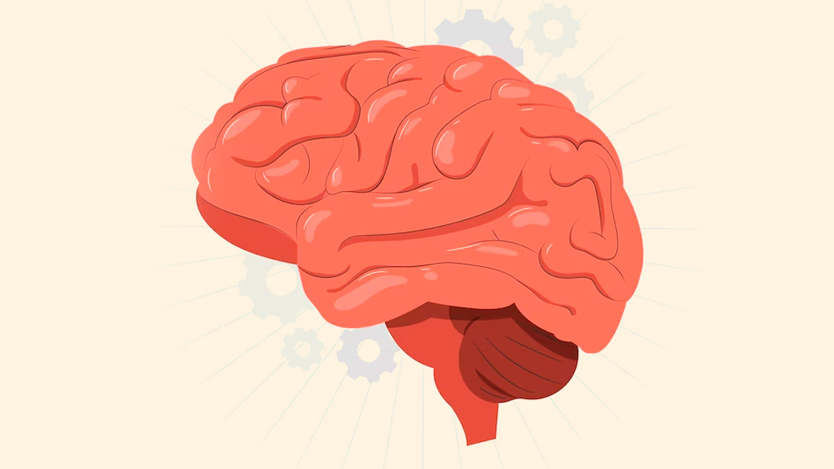 World Brain Day 2023: Significance And Tips To Maintain Brain Health 