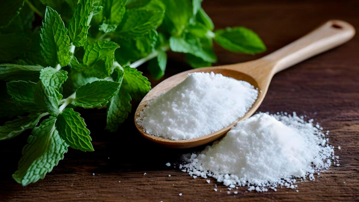 Aspartame Side Effects