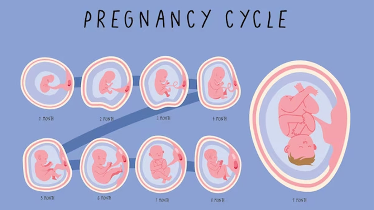 pregnancy symptoms in hindi