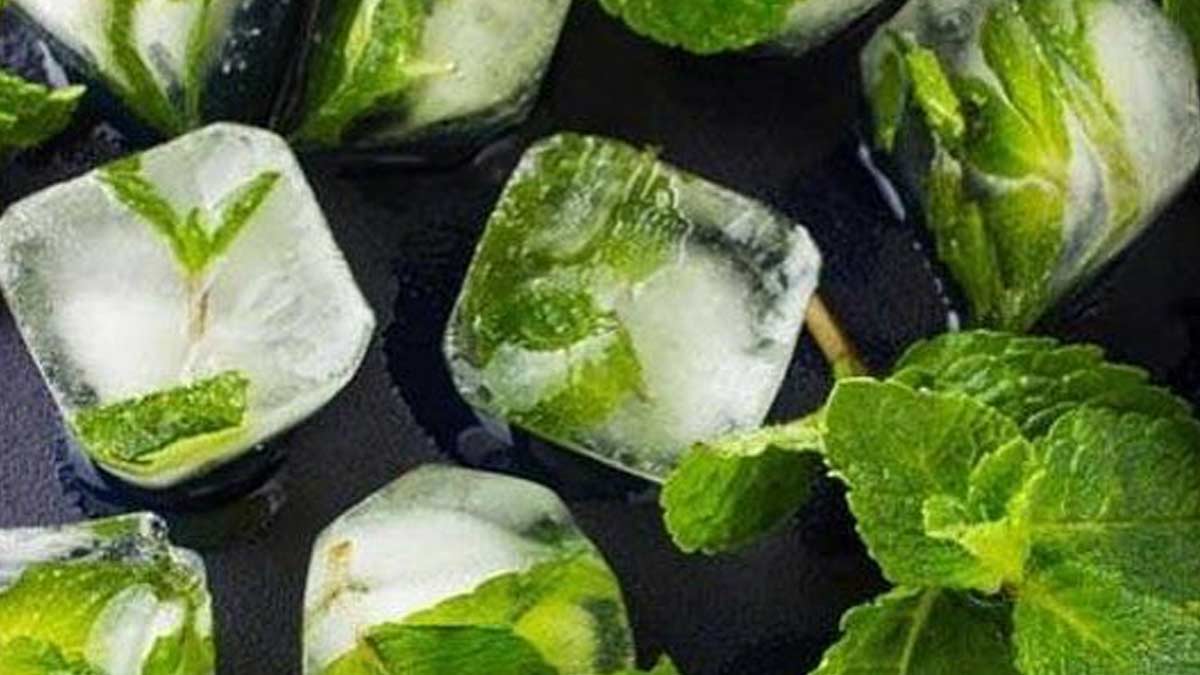 Mint-Basil-Ice-Cubes-Benefits-For-Face-ins1