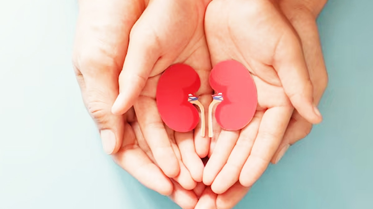 Pineapple Benefits For Kidney