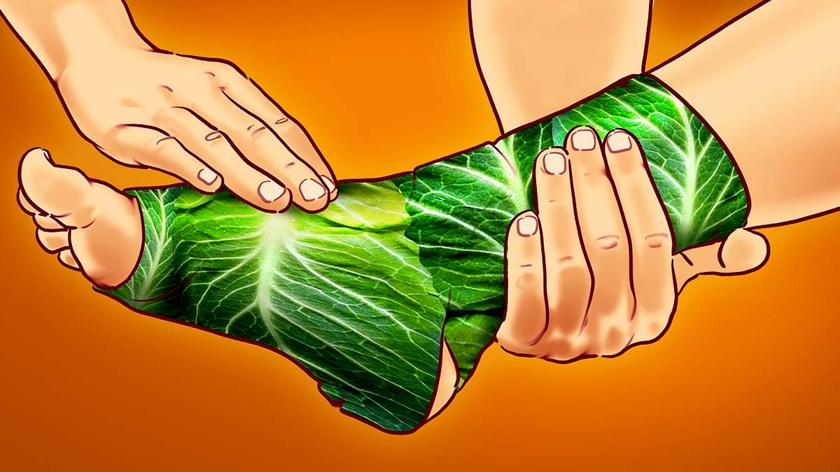cabbage leaves for pain