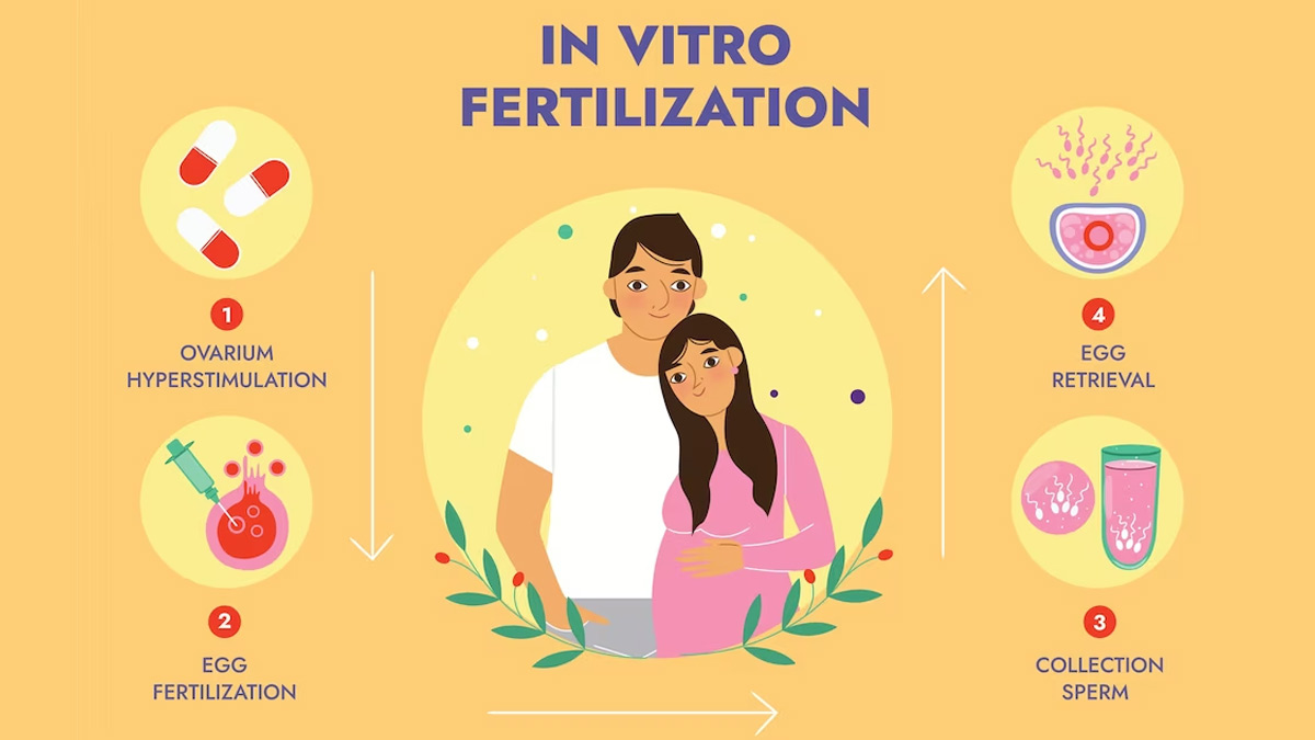 rounds of IVF