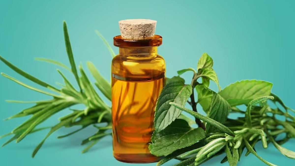tea tree oil for acne