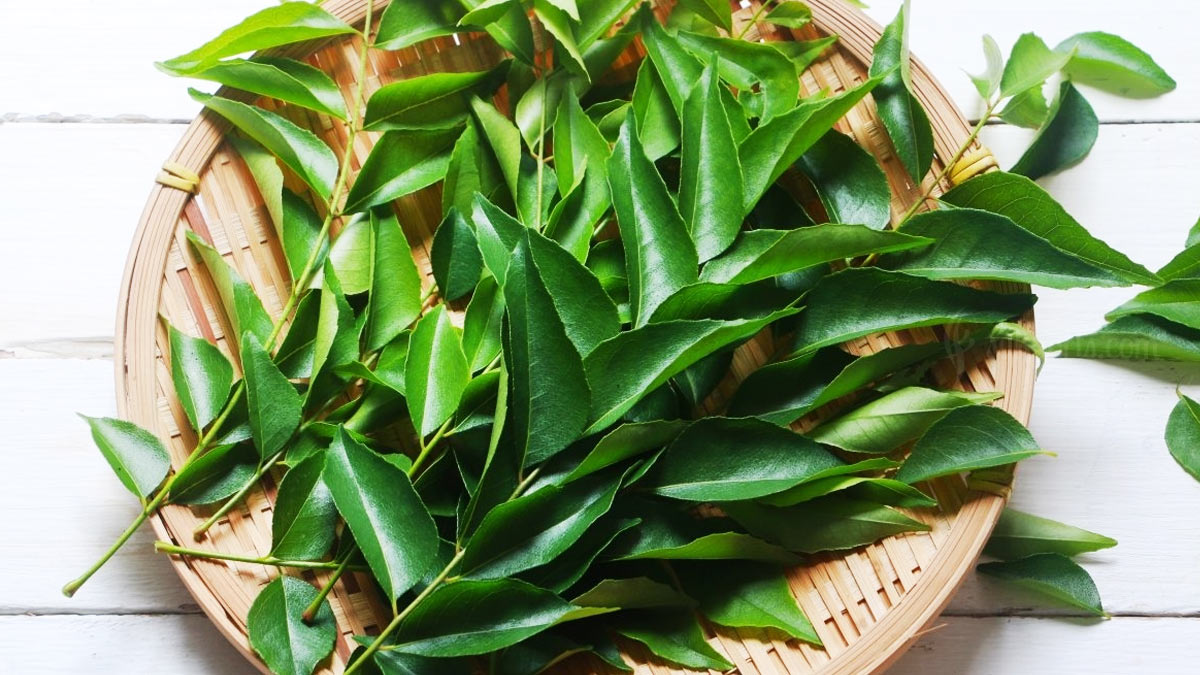 Curry-Leaves-Juice-Benefits