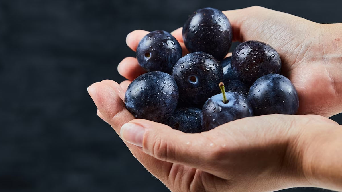 Jamun Benefits For Kidney In Hindi