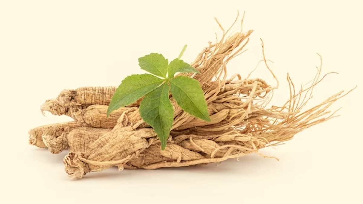 Ginseng Or King Of Herbs: Here Are Its Potential Health Benefits 