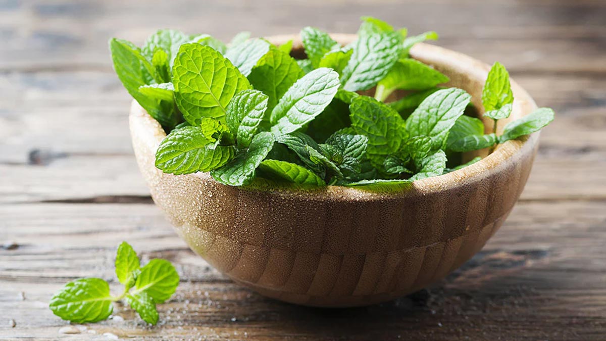mint for dark spots