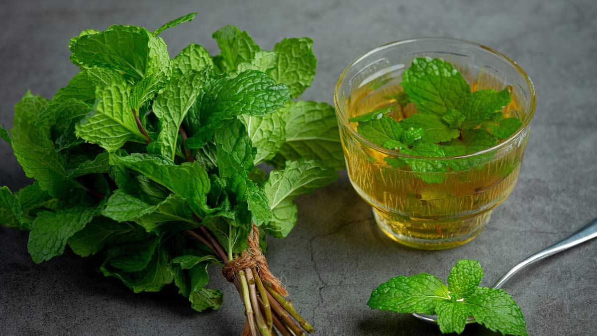 mint tea benefits