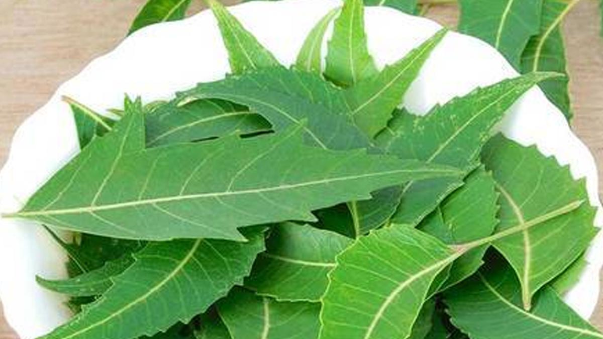 neem to remove dark spots