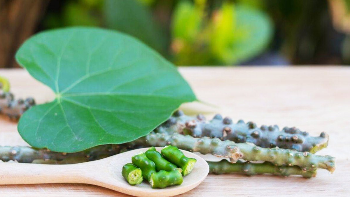 Immunity-Badhane-Ke-Ayurvedic-Upay