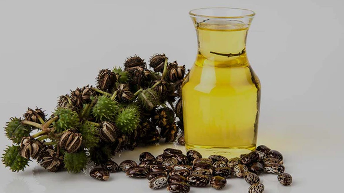 castor oil for hair