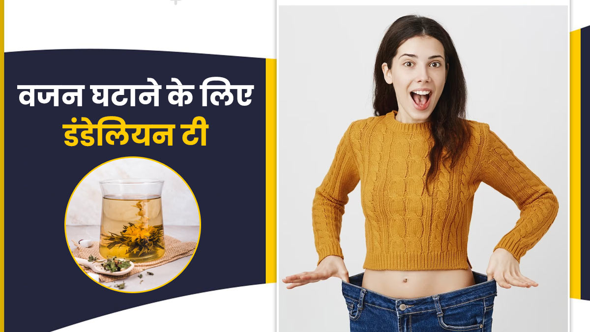 वजन घटाने के लिए कब पिएं सिंहपर्णी (डंडेलियन) की चाय? जानें यह कैसे वेट लॉस में लाभकारी है
