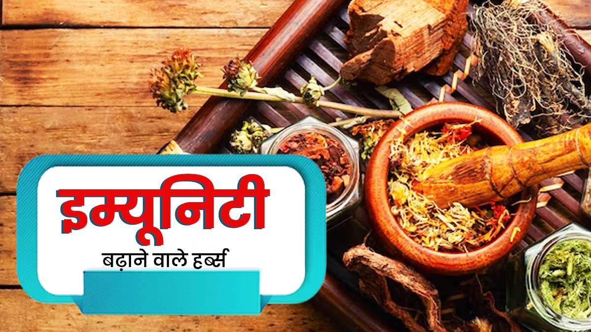 इम्यूनिटी बढ़ाने के लिए डाइट में शामिल करें ये हर्ब्स, सेहत को मिलेंगे और भी फायदे