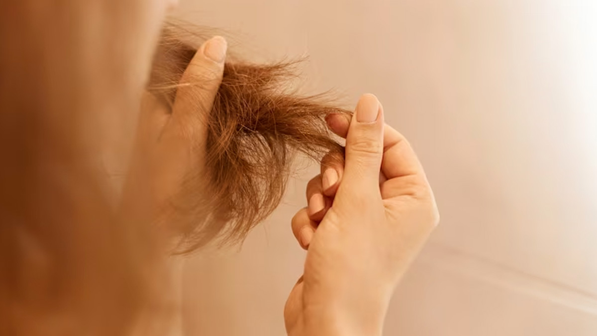 6 Superfoods For Quick Hair Growth