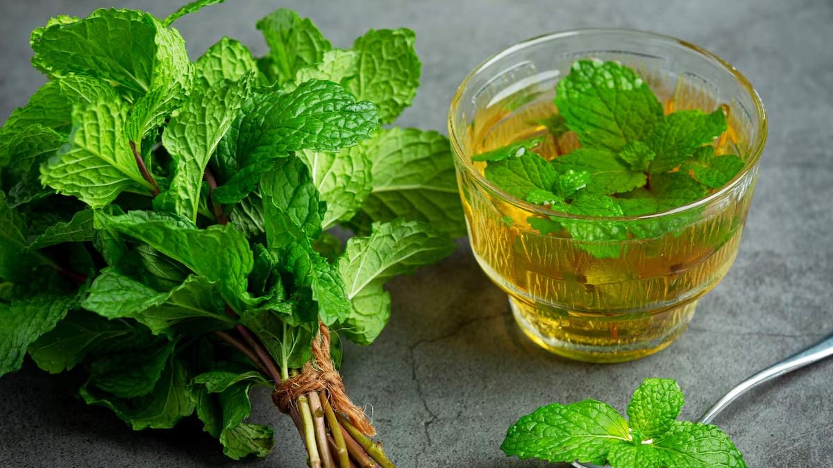 Mint-Leaves-For-Acidity-Benefits
