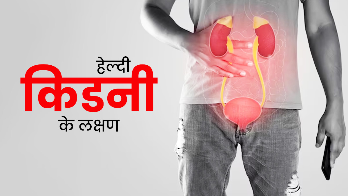 कैसे पता करें आपकी किडनी स्वस्थ है या नहीं? जानें हेल्दी किडनी के संकेत