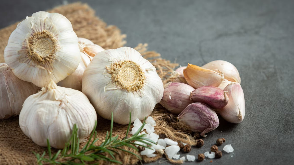 garlic benefits