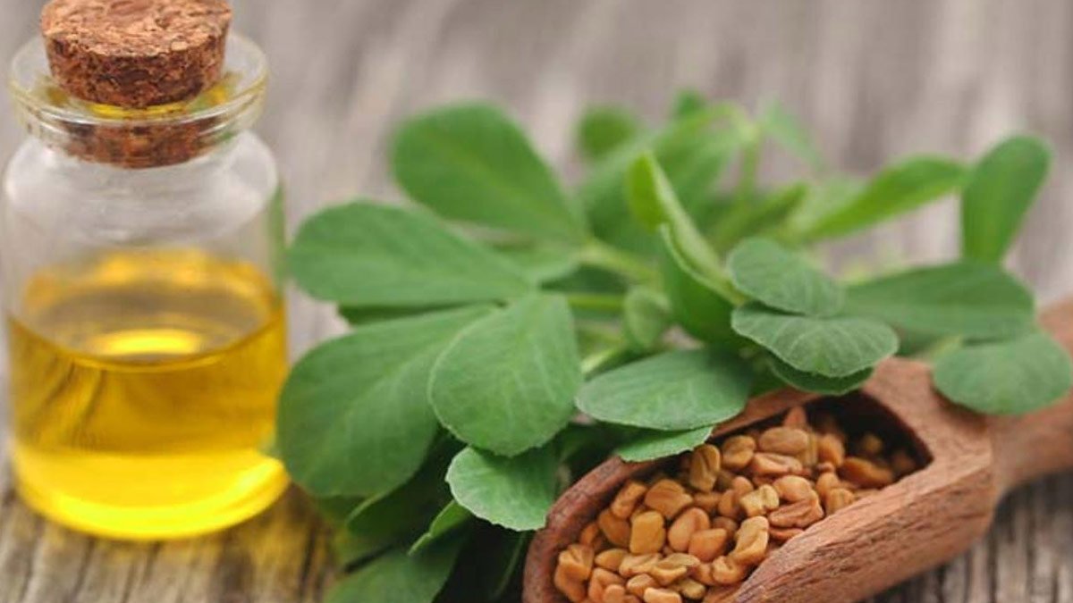 How-To-Make-Fenugreek-Oil-For-Hair