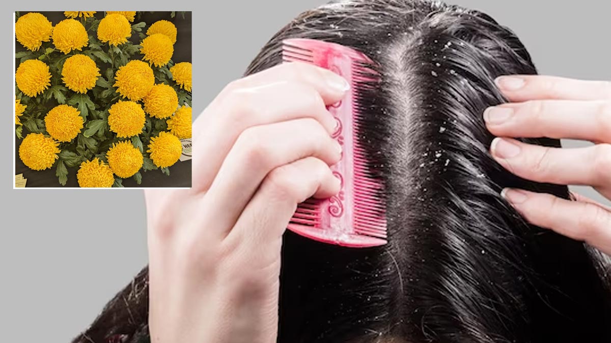 Marigold-Flower-Hair-Mask-Benefits