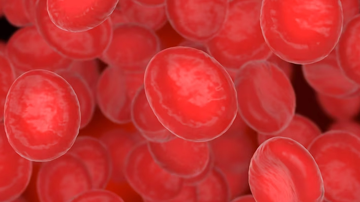 Consequences Of Haemoglobin Deficiency