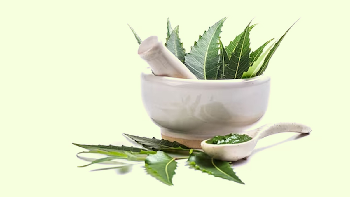 how to use neem as a mosquito repellent